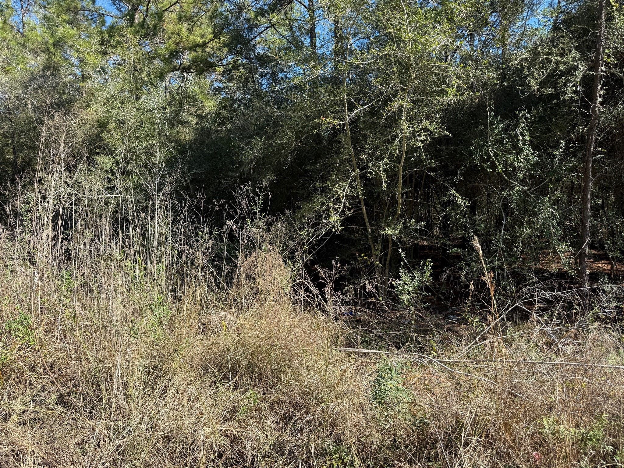 0 Baltic Drive Humble, TX 77346 - Photo 4 of 12 a view of a yard