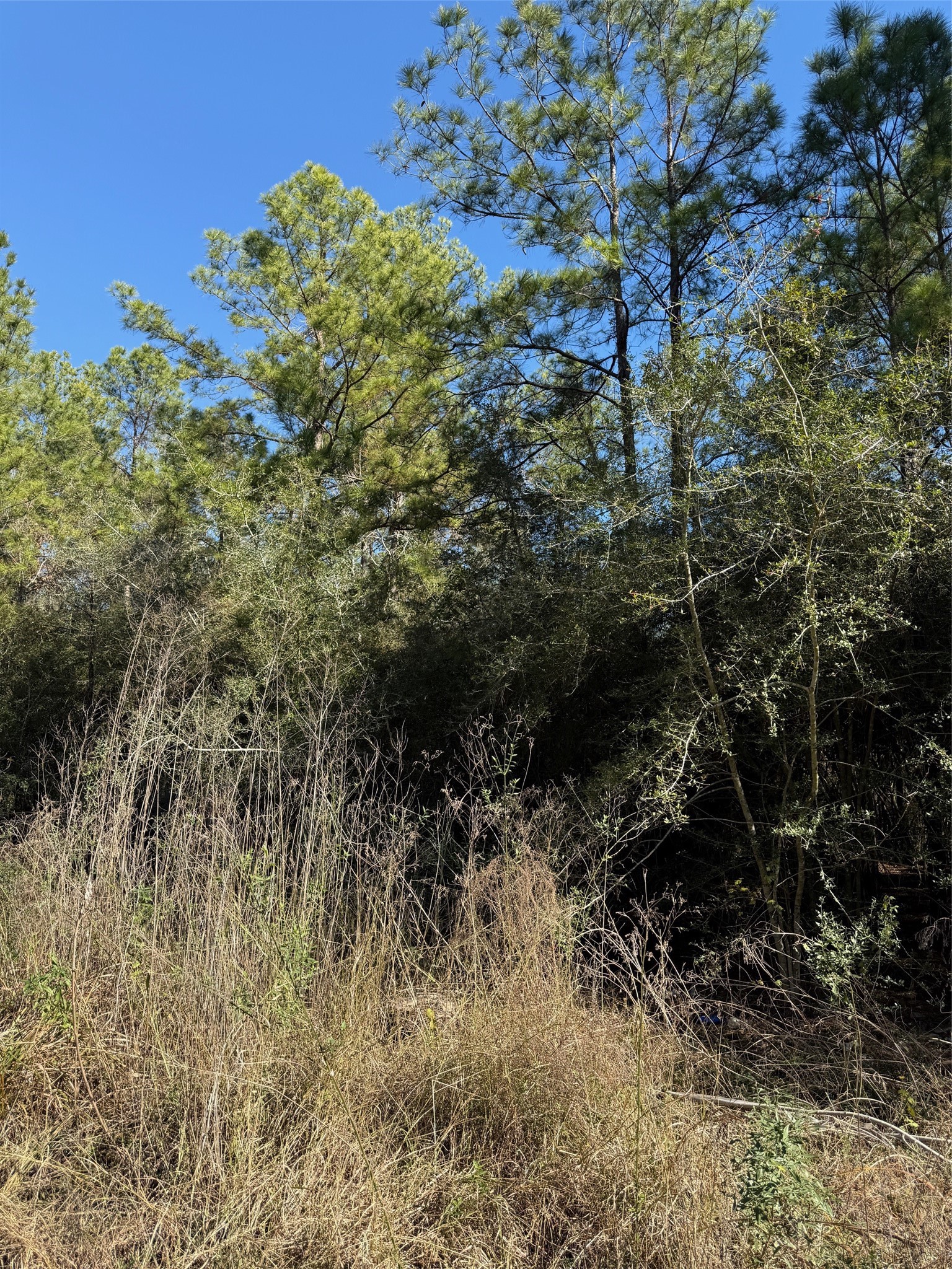 0 Baltic Drive Humble, TX 77346 - Photo 5 of 12