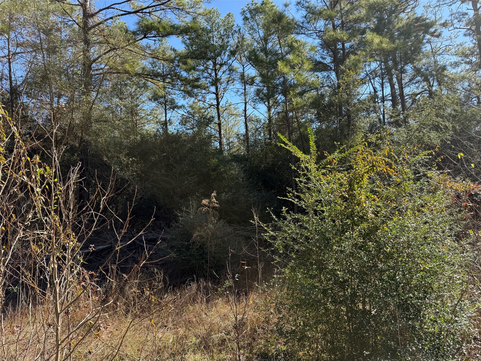 0 Baltic Drive Humble, TX 77346 - Photo 6 of 12