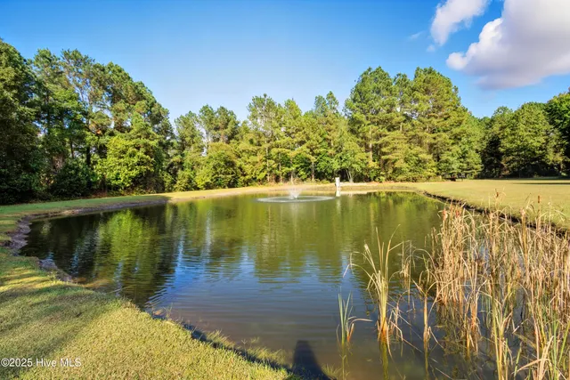 $650,000 | 6079 Bell Williams Road, Currie, NC 28435