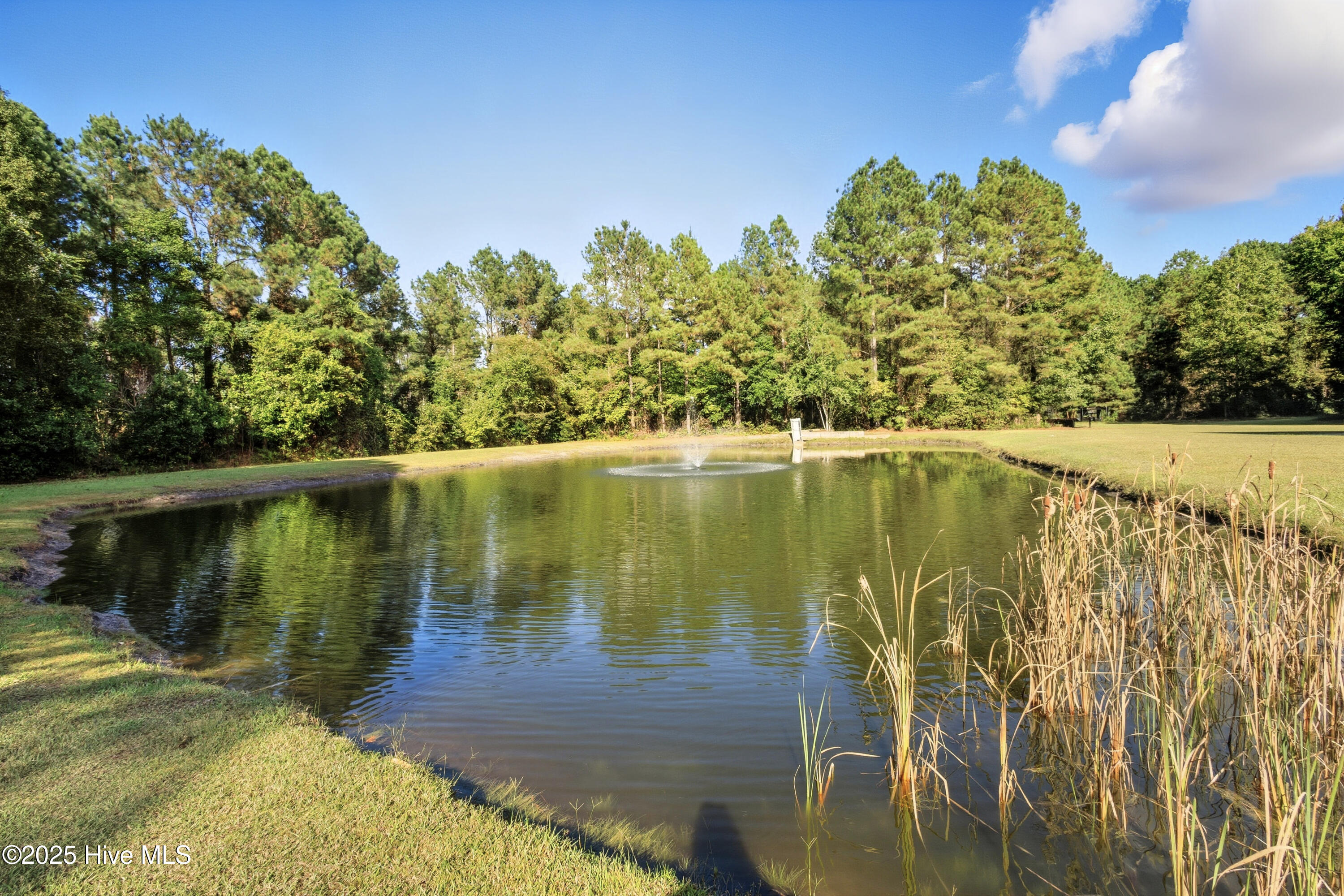 6079 Bell Williams Road Currie, NC 28435 - Photo 36 of 41 Pond 2