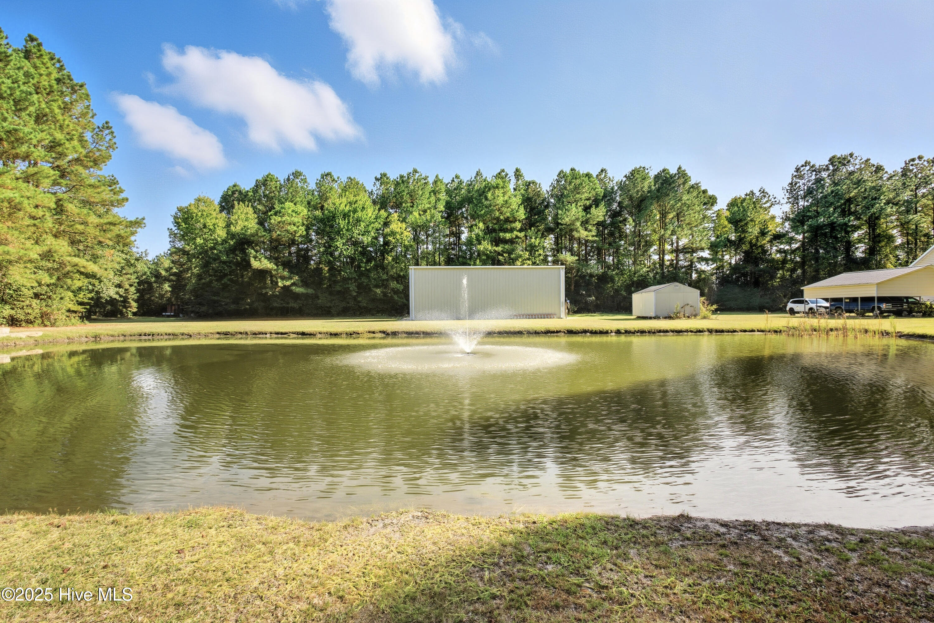 6079 Bell Williams Road Currie, NC 28435 - Photo 37 of 41 Pond 3