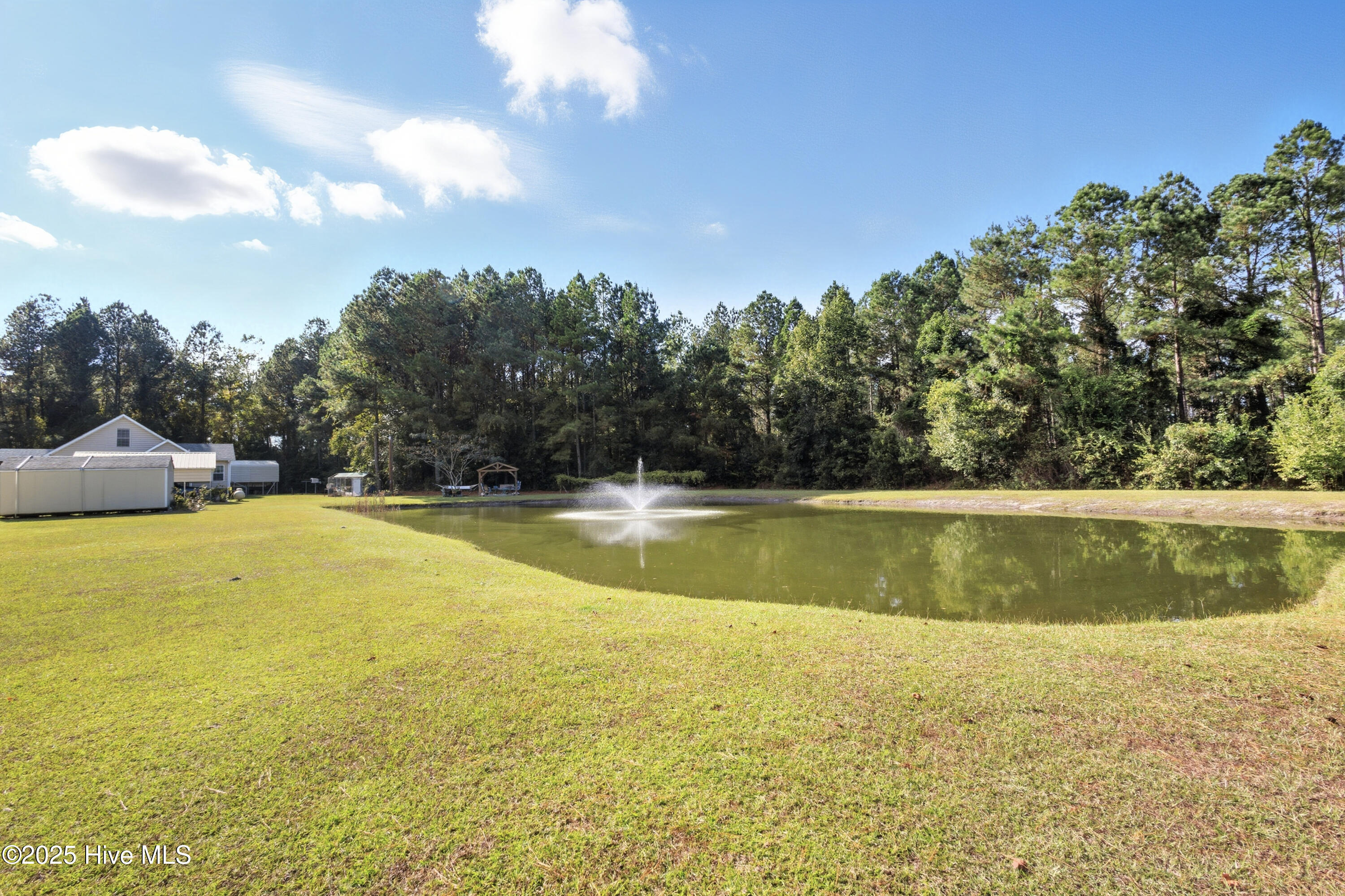 6079 Bell Williams Road Currie, NC 28435 - Photo 38 of 41 Pond 4