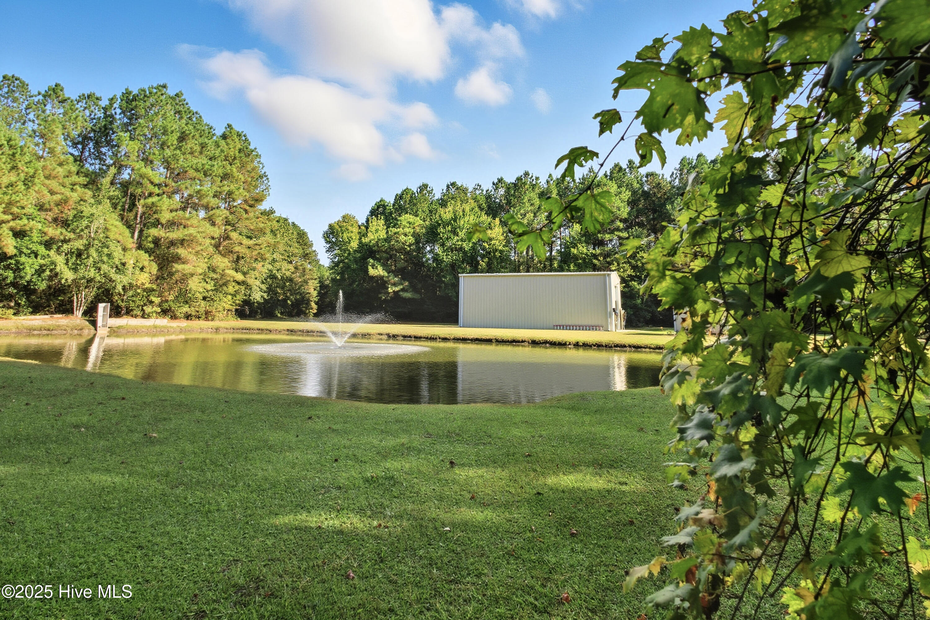6079 Bell Williams Road Currie, NC 28435 - Photo 39 of 41 Pond