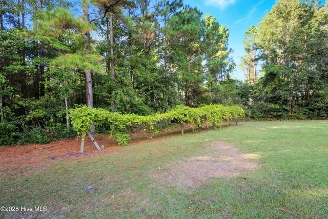 $650,000 | 6079 Bell Williams Road, Currie, NC 28435