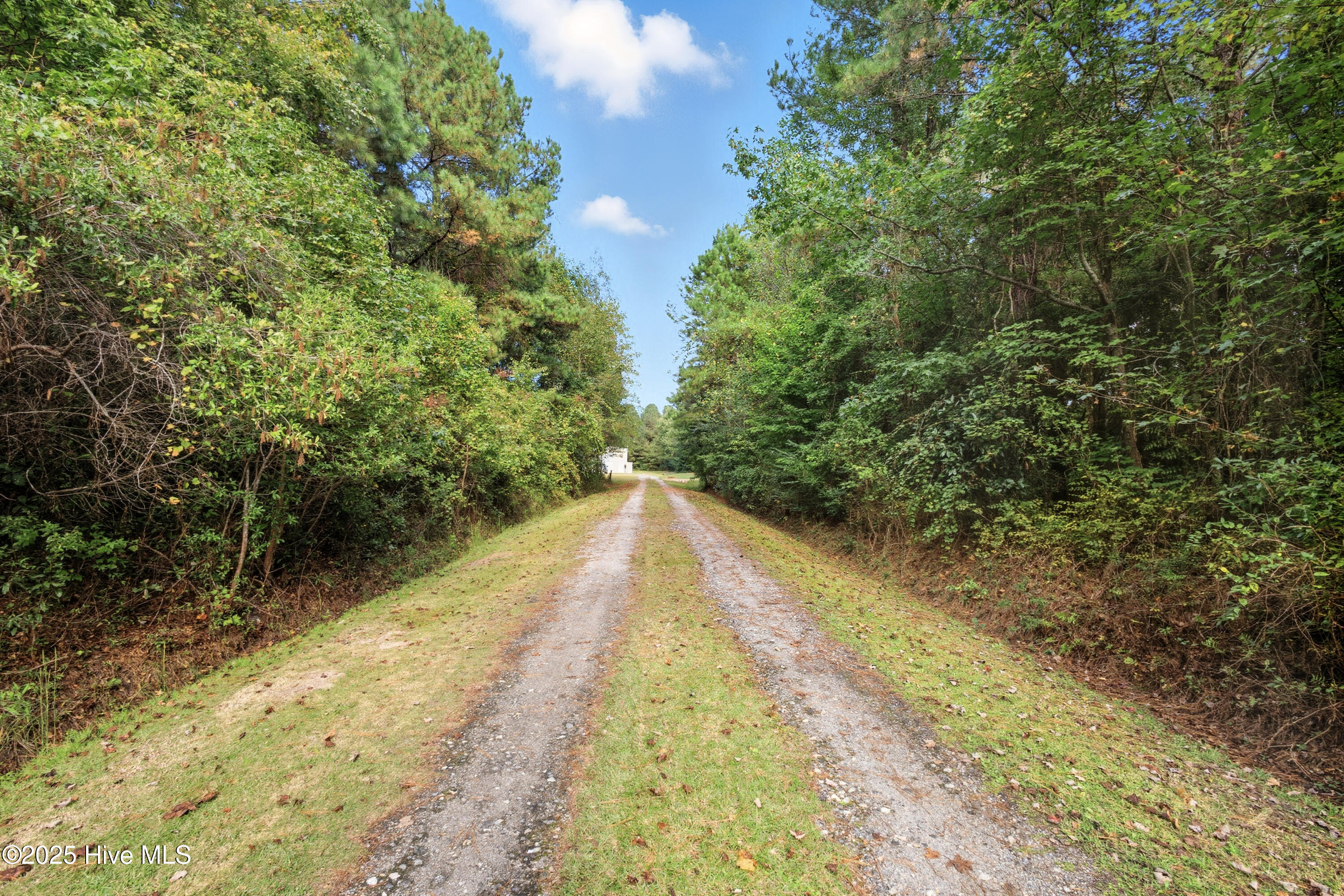 6079 Bell Williams Road Currie, NC 28435 - Photo 5 of 41 Drive 2