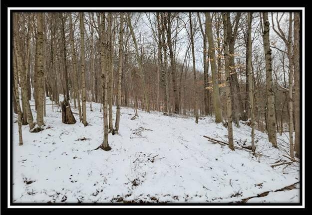 0 Number 12 Hollow Road Wellston, OH 45692 - Photo 11 of 45 image011