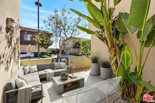 a view of a patio with couches and a potted plant on a table