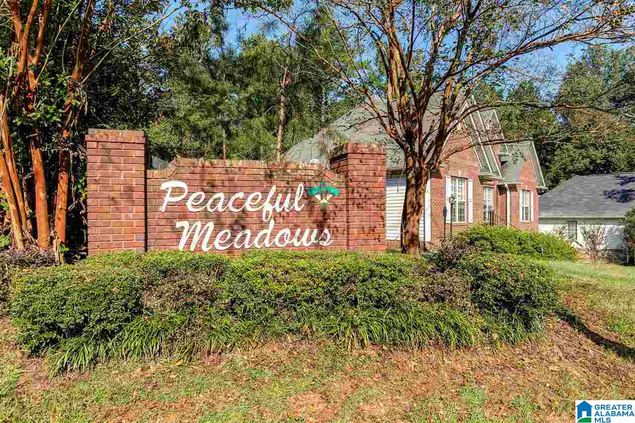 19 Meadows Drive Springville, AL 35146 - Photo 29 of 29