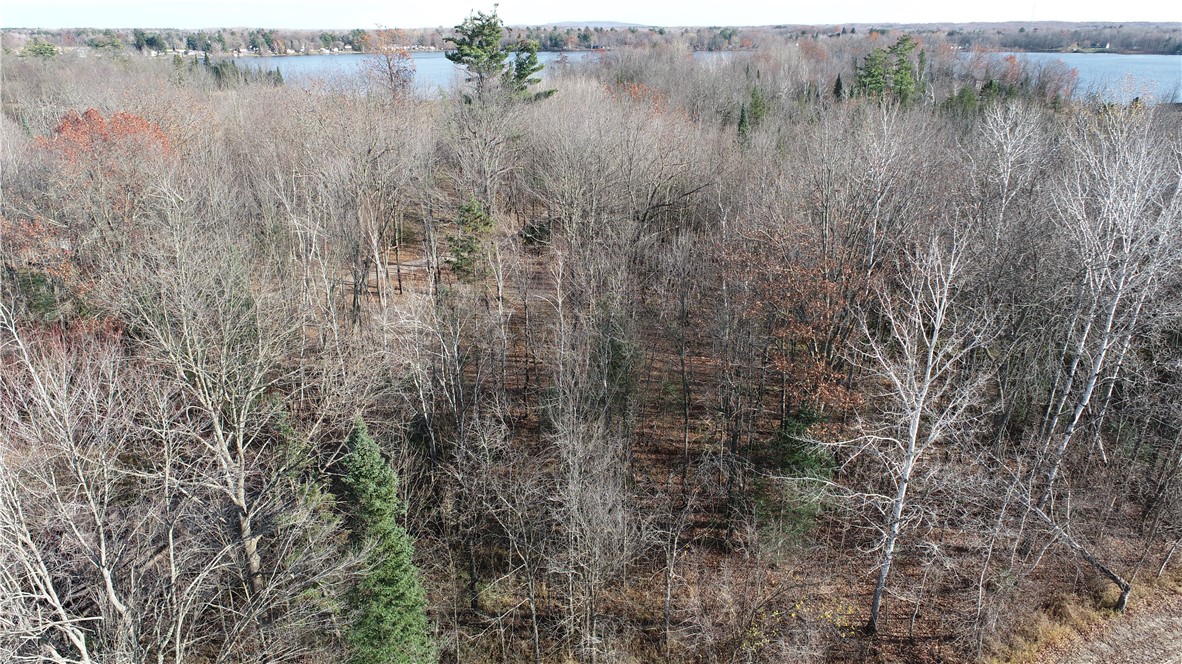 0 Willy Road Weyerhaeuser, WI 54895 - Photo 9 of 12