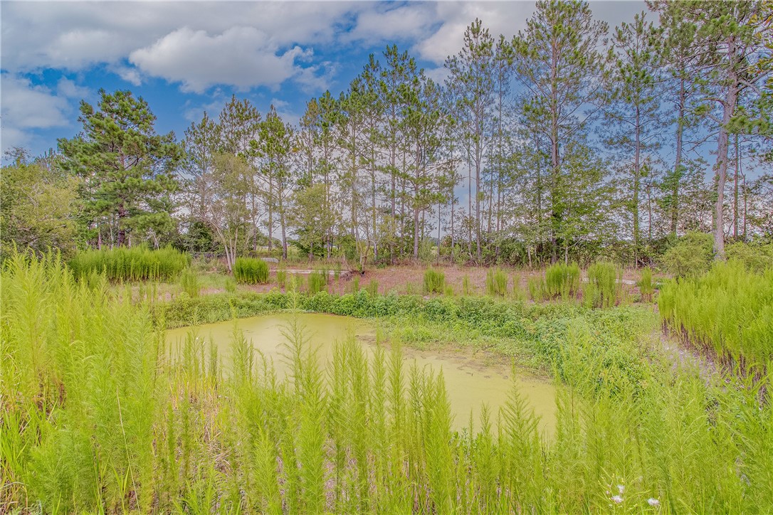 44608 Sandy Ford Road Callahan, FL 32011 - Photo 28 of 28 Gallery Image 28