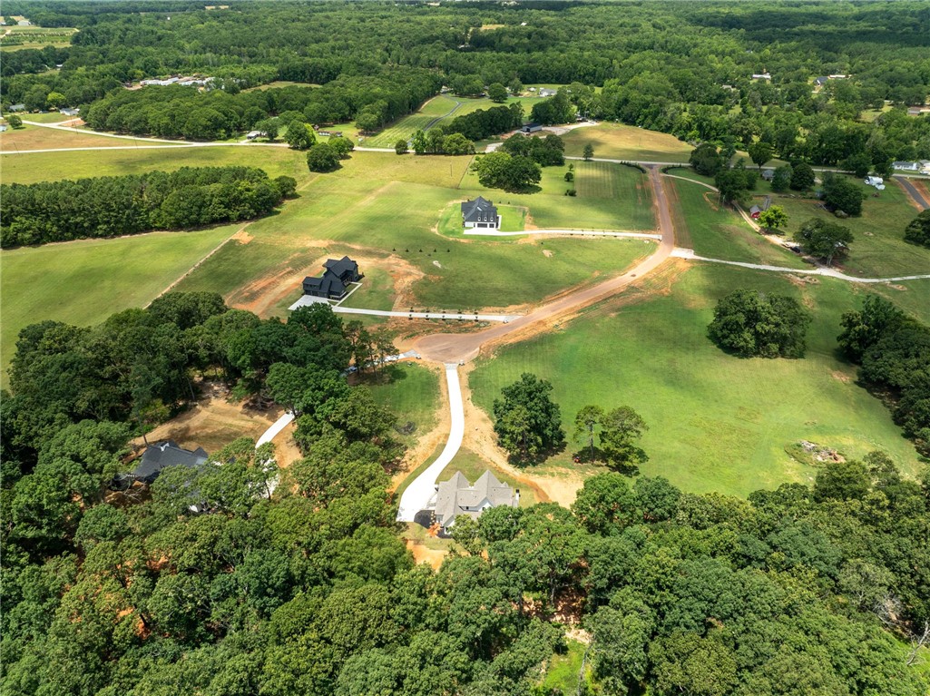 748 Garrison Road Pelzer, SC 29669 - Photo 40 of 46