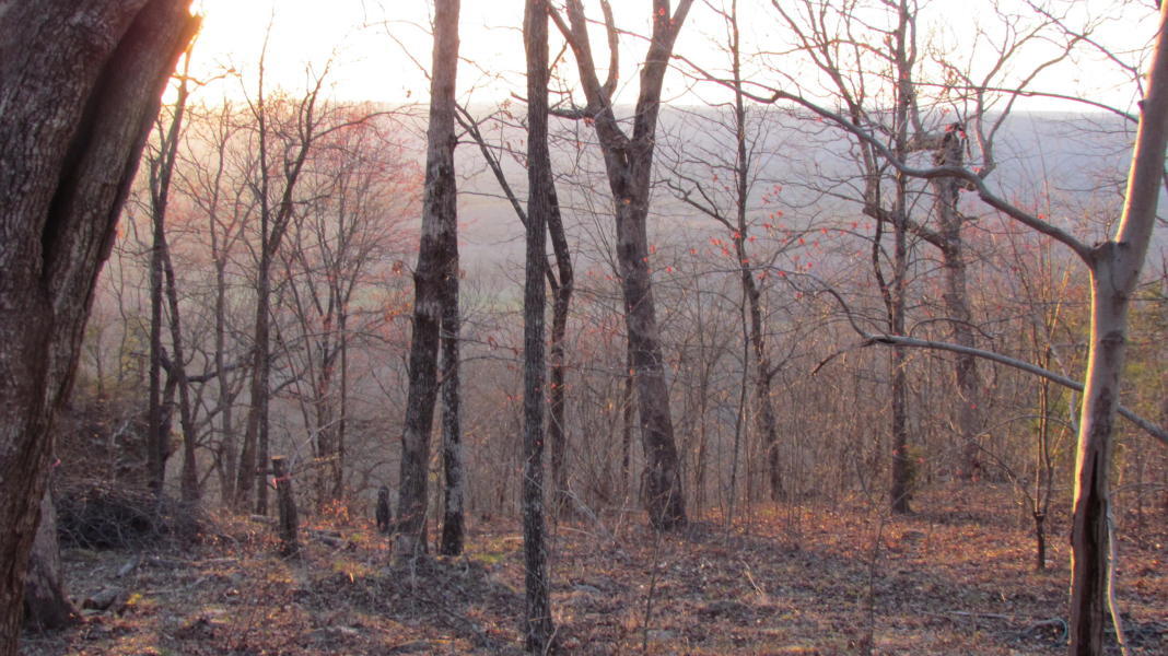 7884 Old State Road Cloudland, GA 30731 - Photo 2 of 9 20190328211616199266000000-o
