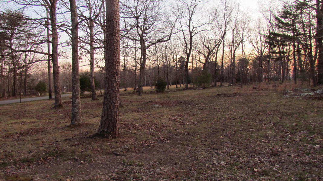 7884 Old State Road Cloudland, GA 30731 - Photo 4 of 9 20190328211643544200000000-o
