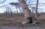 7884 Old State Road Cloudland, GA 30731 - Photo 6 of 9 20190328211700745334000000-t