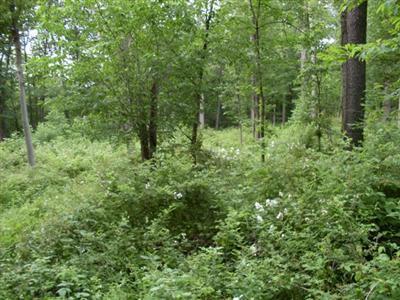 124 West Hatmaker Road Coldwater, MI 49036 - Photo 14 of 15 Additional Photo
