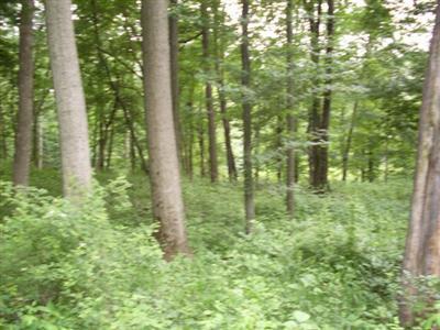 124 West Hatmaker Road Coldwater, MI 49036 - Photo 15 of 15 Additional Photo
