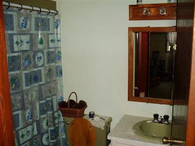 124 West Hatmaker Road Coldwater, MI 49036 - Photo 7 of 15 Additional Photo