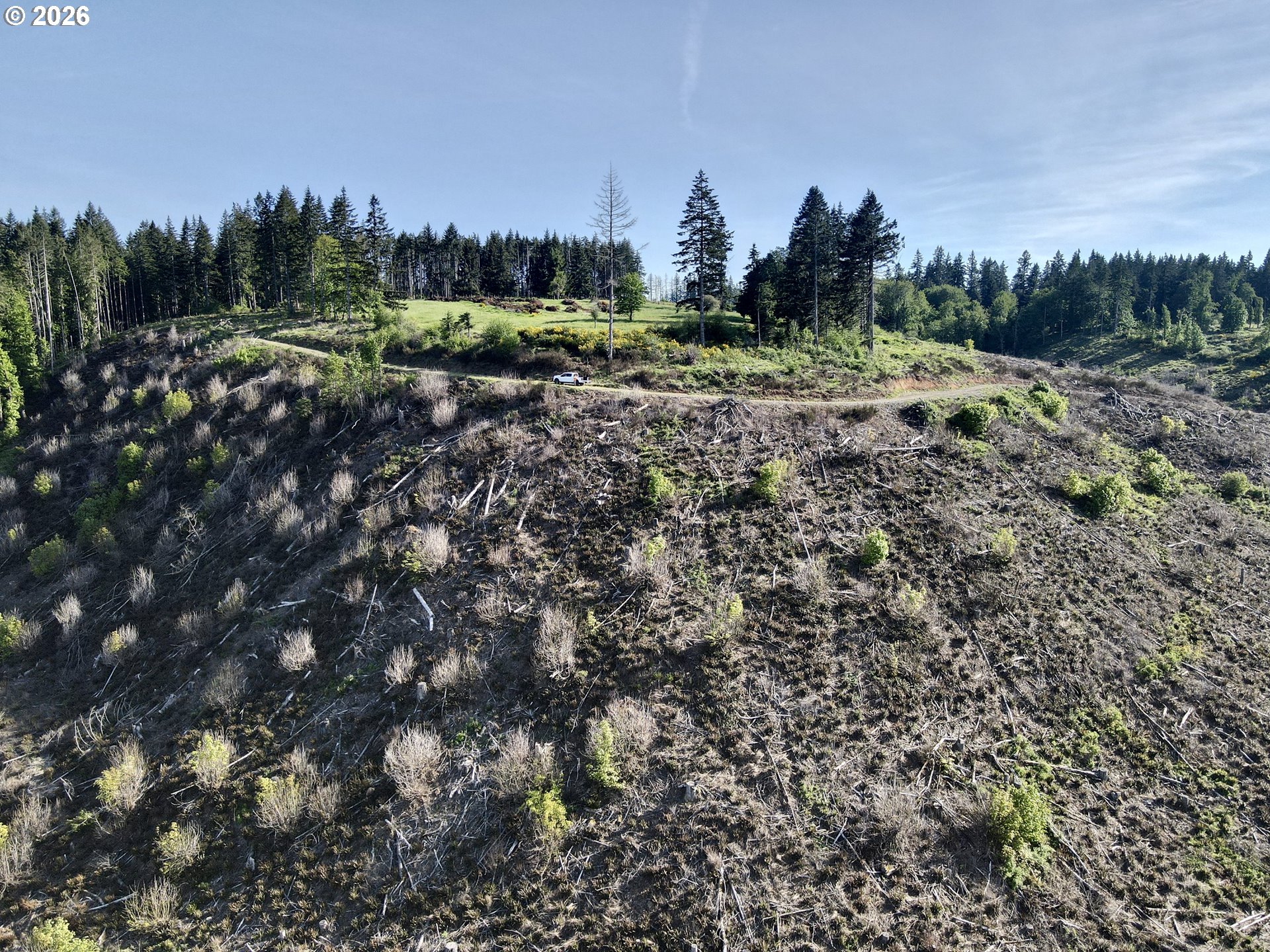 South Ellis Road Molalla, OR 97038 - Photo 13 of 19