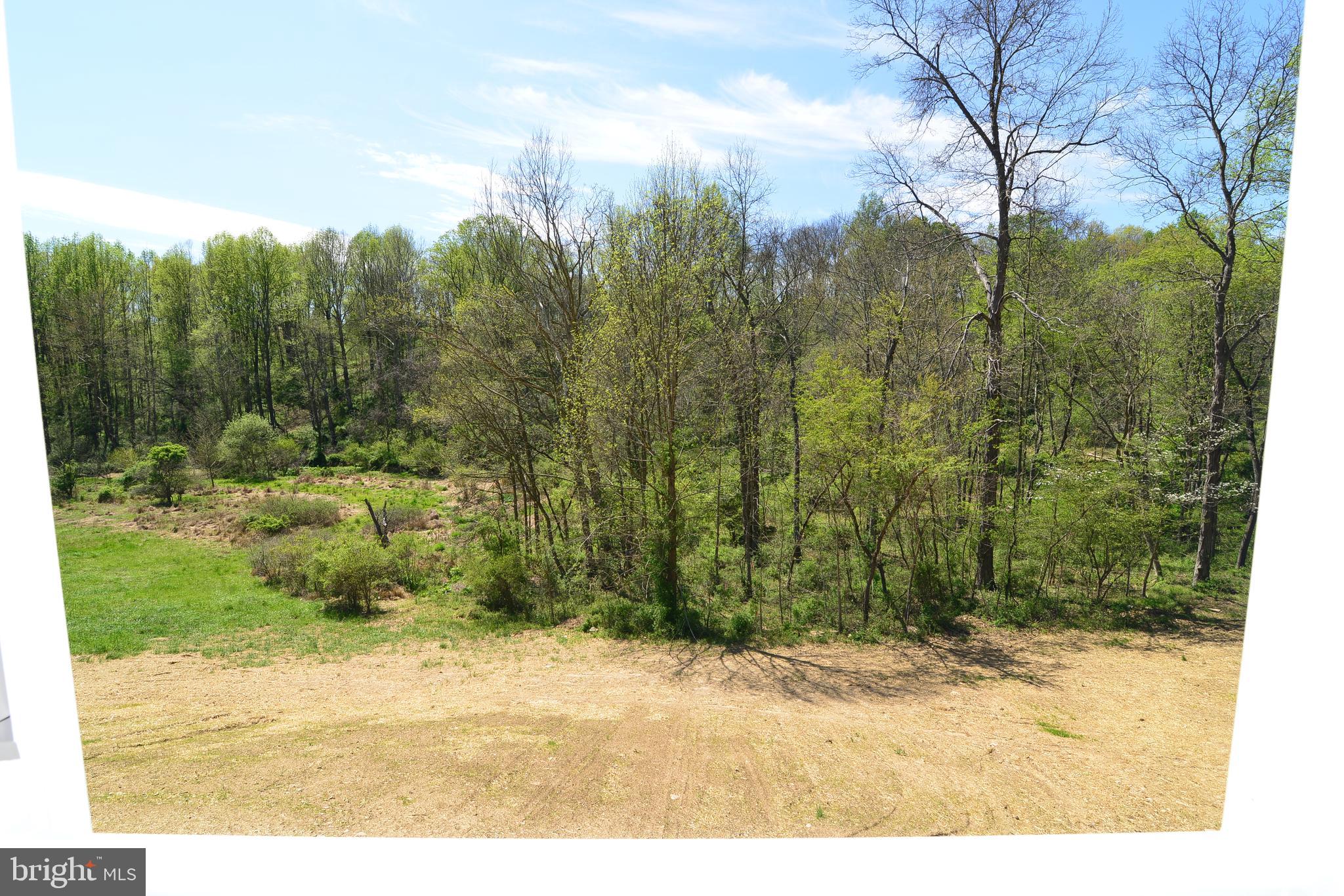 8700 Green Valley Road Union Bridge, MD 21791 - Photo 32 of 40 Side view of property