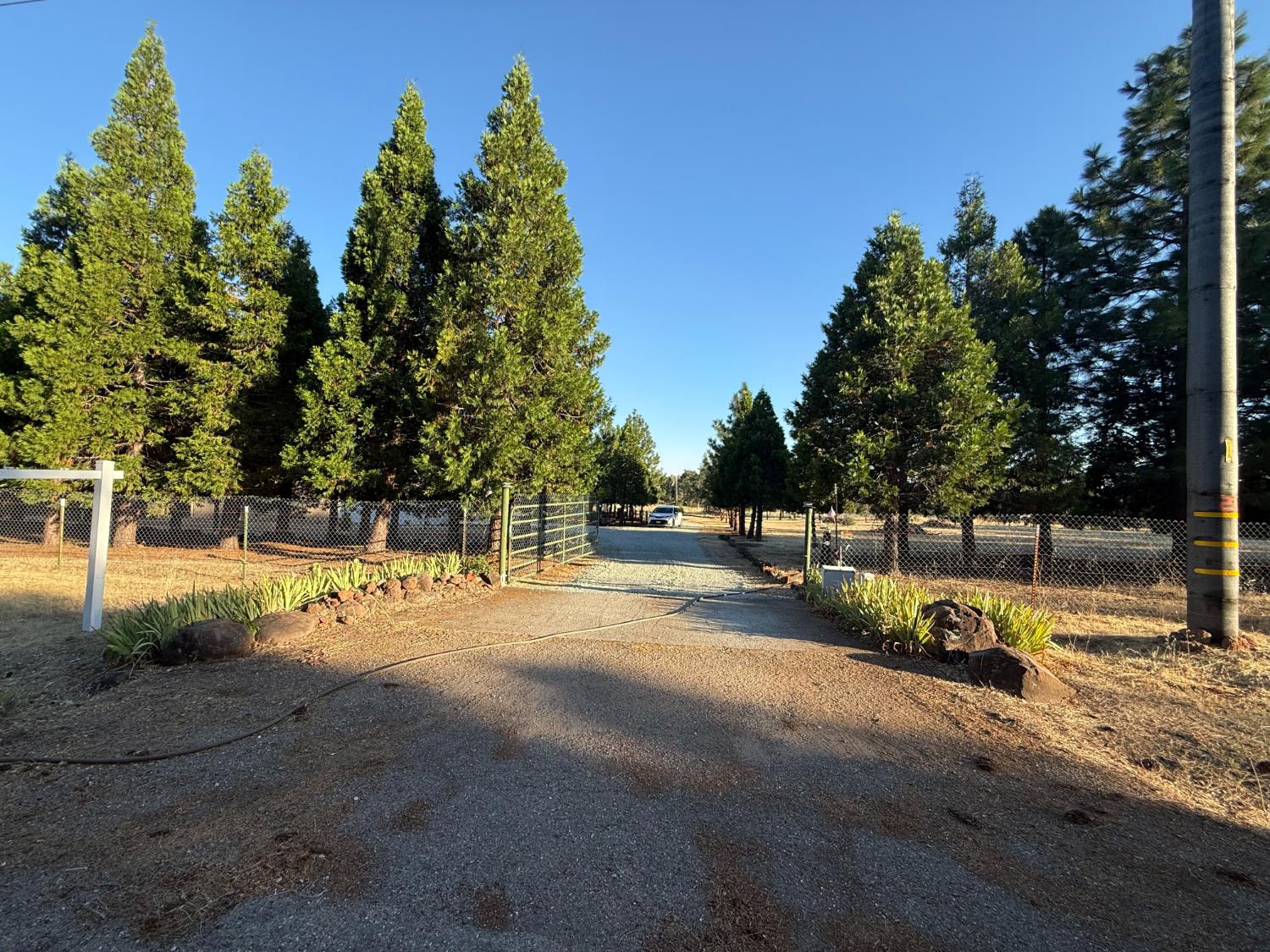 5000 Wilson Hill Road Manton, CA 96059 - Photo 60 of 63