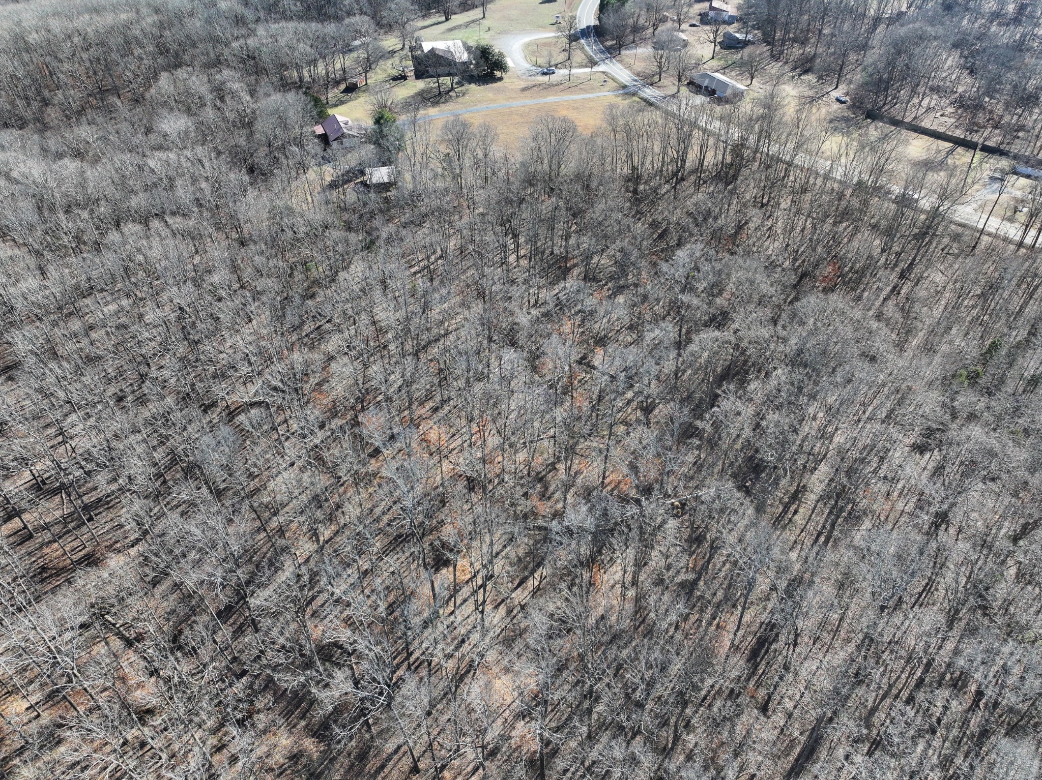 0 Highway 49w Tennessee Ridge Tennessee Ridge, TN 37178 - Photo 5 of 8 a view of a dry yard with trees and bushes