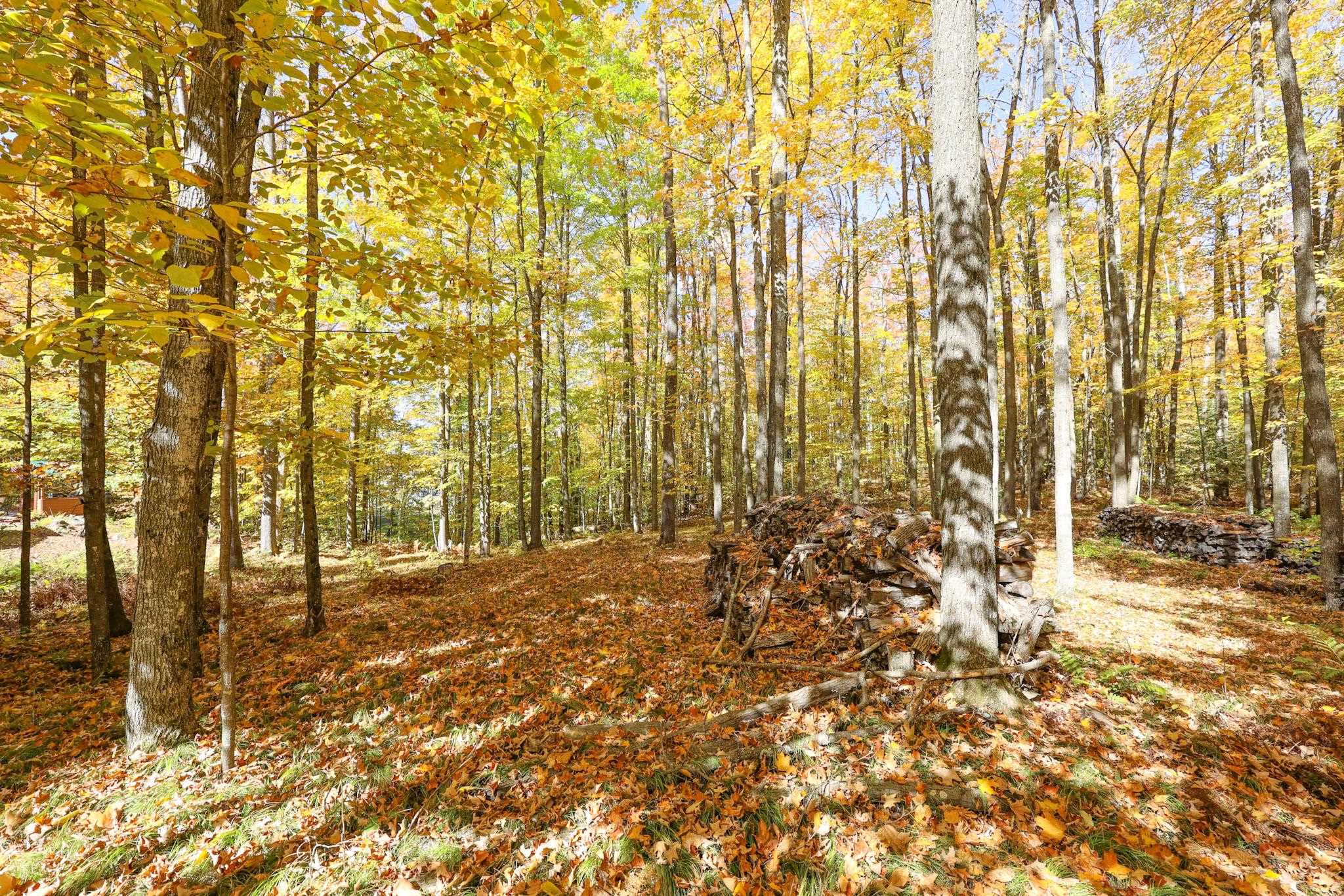 7119 Freedom Trail Wabeno, WI 54566 - Photo 32 of 65