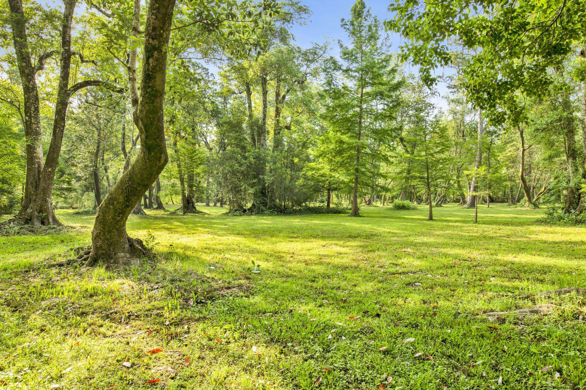11749 Venice Boulevard Foley, AL 36535 - Photo 36 of 43 Yard