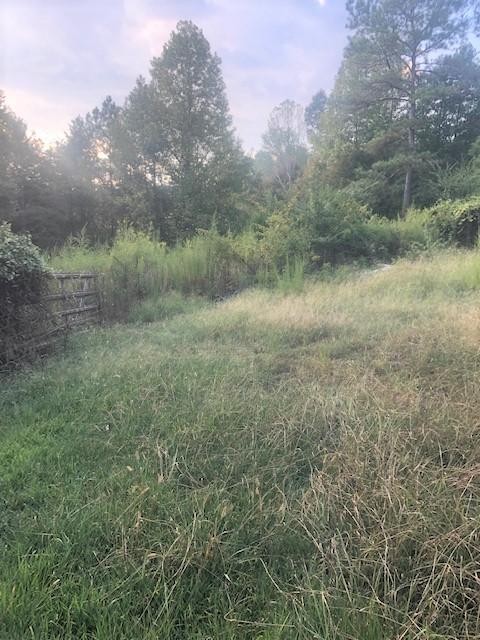 2225 North Nopone Valley Road Decatur, TN 37322 - Photo 34 of 40