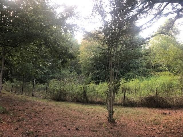 2225 North Nopone Valley Road Decatur, TN 37322 - Photo 35 of 40