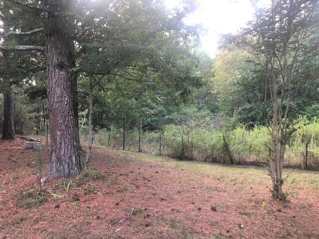 2225 North Nopone Valley Road Decatur, TN 37322 - Photo 36 of 40