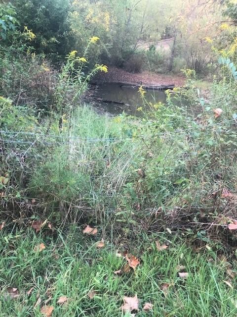 2225 North Nopone Valley Road Decatur, TN 37322 - Photo 39 of 40