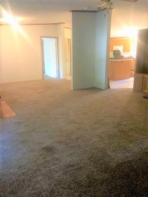 2225 North Nopone Valley Road Decatur, TN 37322 - Photo 4 of 40