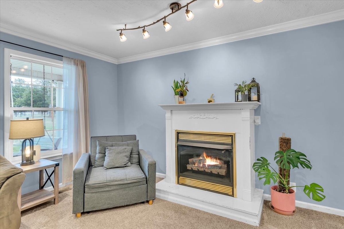 310 Edd Joyce Road Bell Buckle, TN 37020 - Photo 18 of 67 a living room with furniture and a fireplace