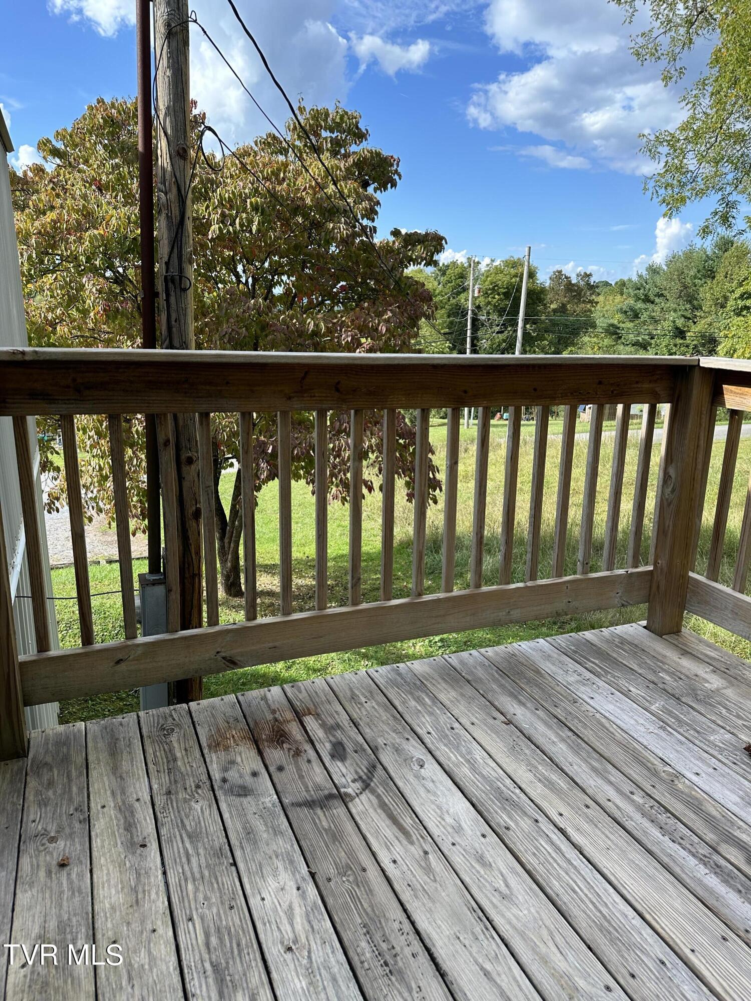 1370 Lovelace Road Fall Branch, TN 37656 - Photo 50 of 55 back deck