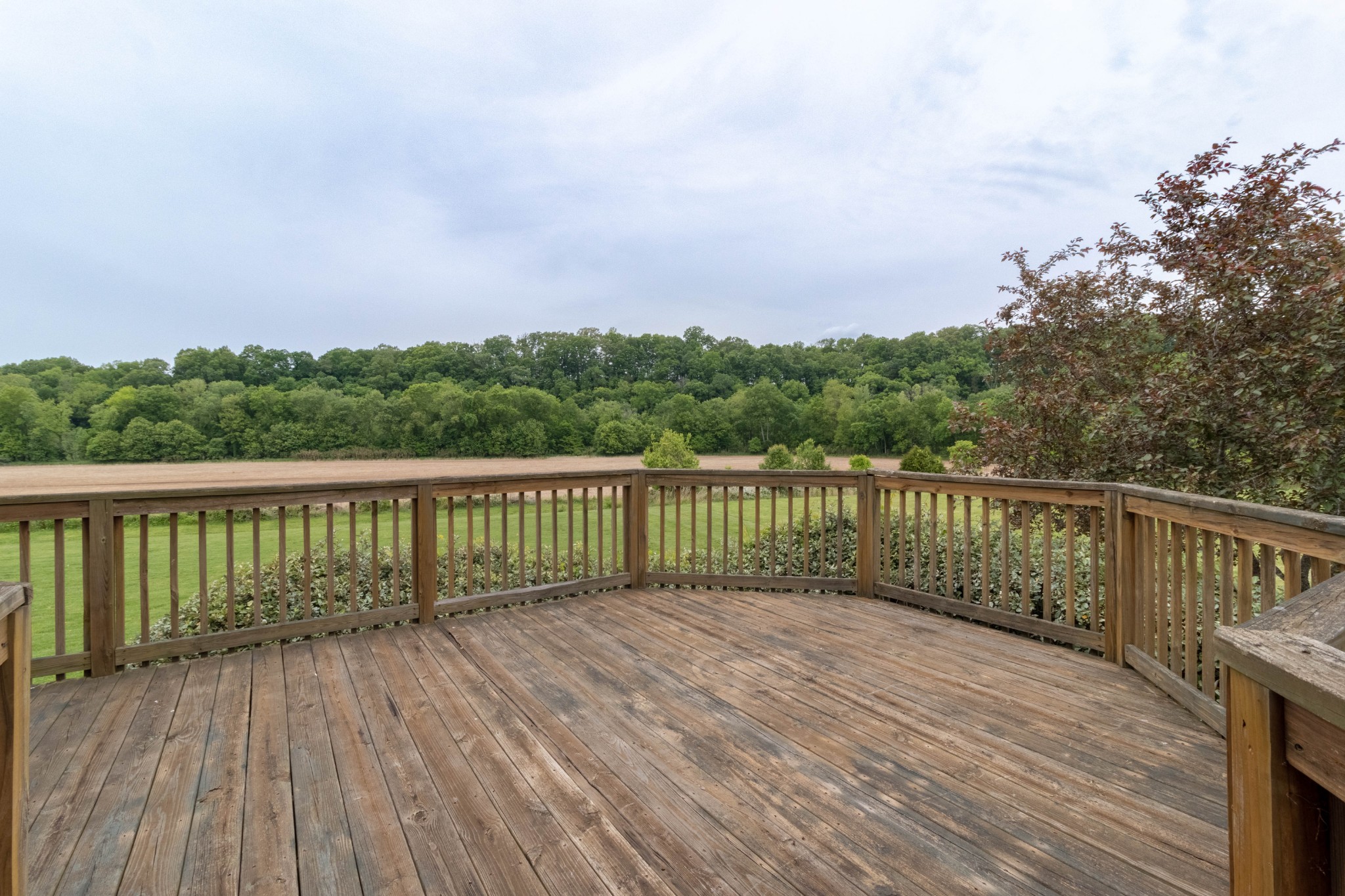 563 Pond Apple Road Clarksville, TN 37043 - Photo 36 of 39 a balcony with wooden floor and trees in the back