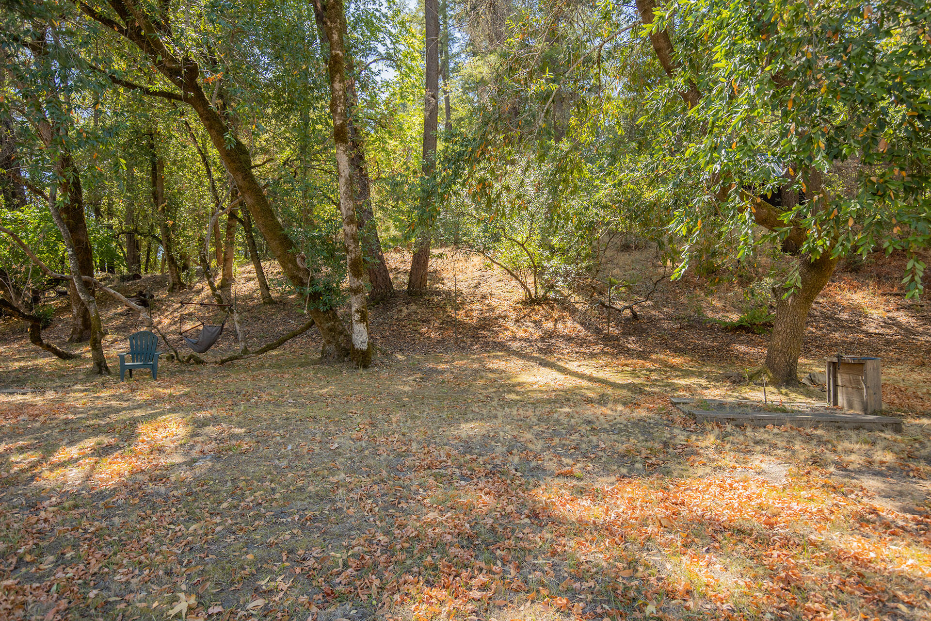 0 Bear Canyon Road Garberville, CA 95542 - Photo 73 of 107 SW__9691