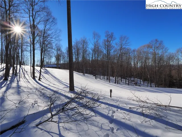 a view of a park with trees in the background