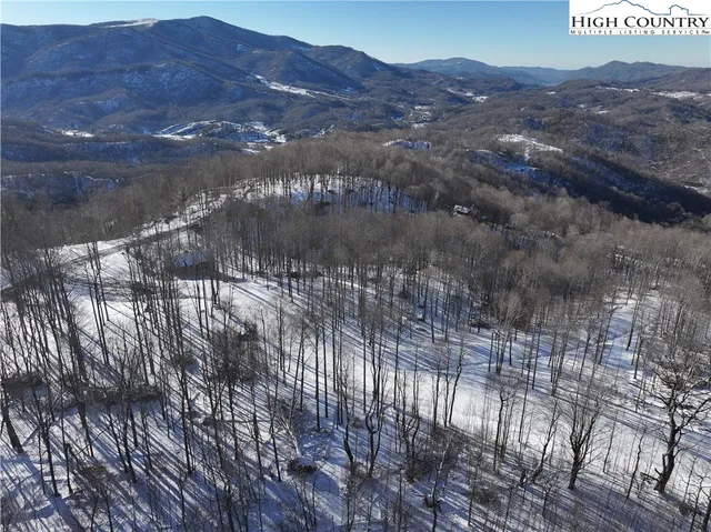 a view of a street from a yard
