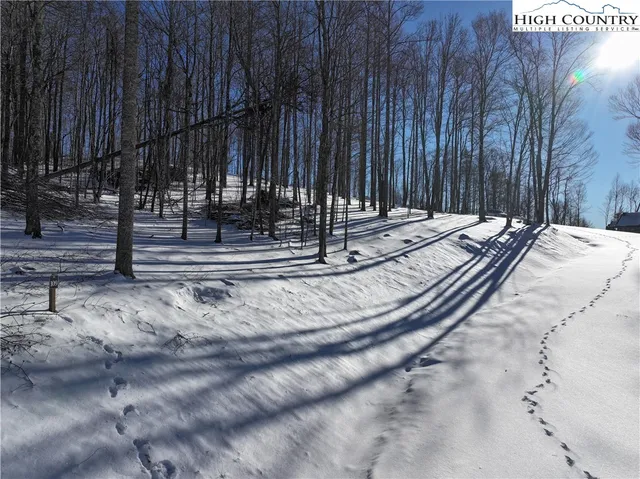 a view of a backyard with wooden fence
