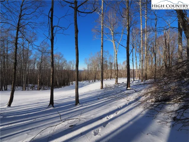 a view of a yard with a bench