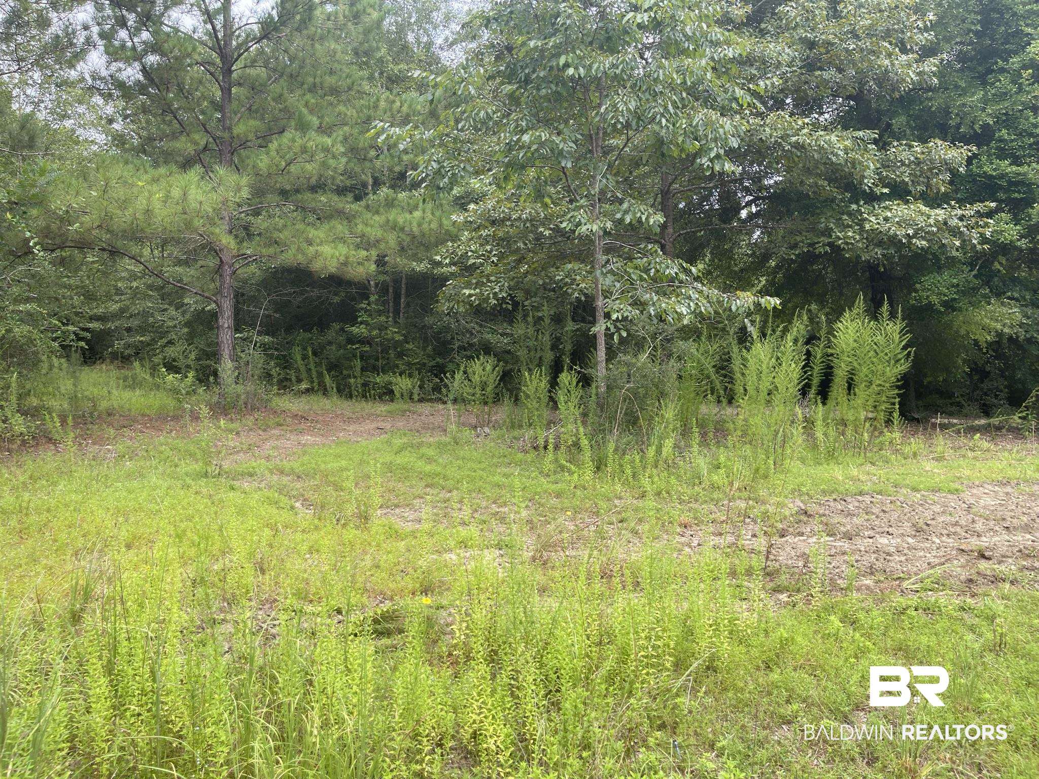 0 County Road 11 Wing, AL 36483 - Photo 17 of 37