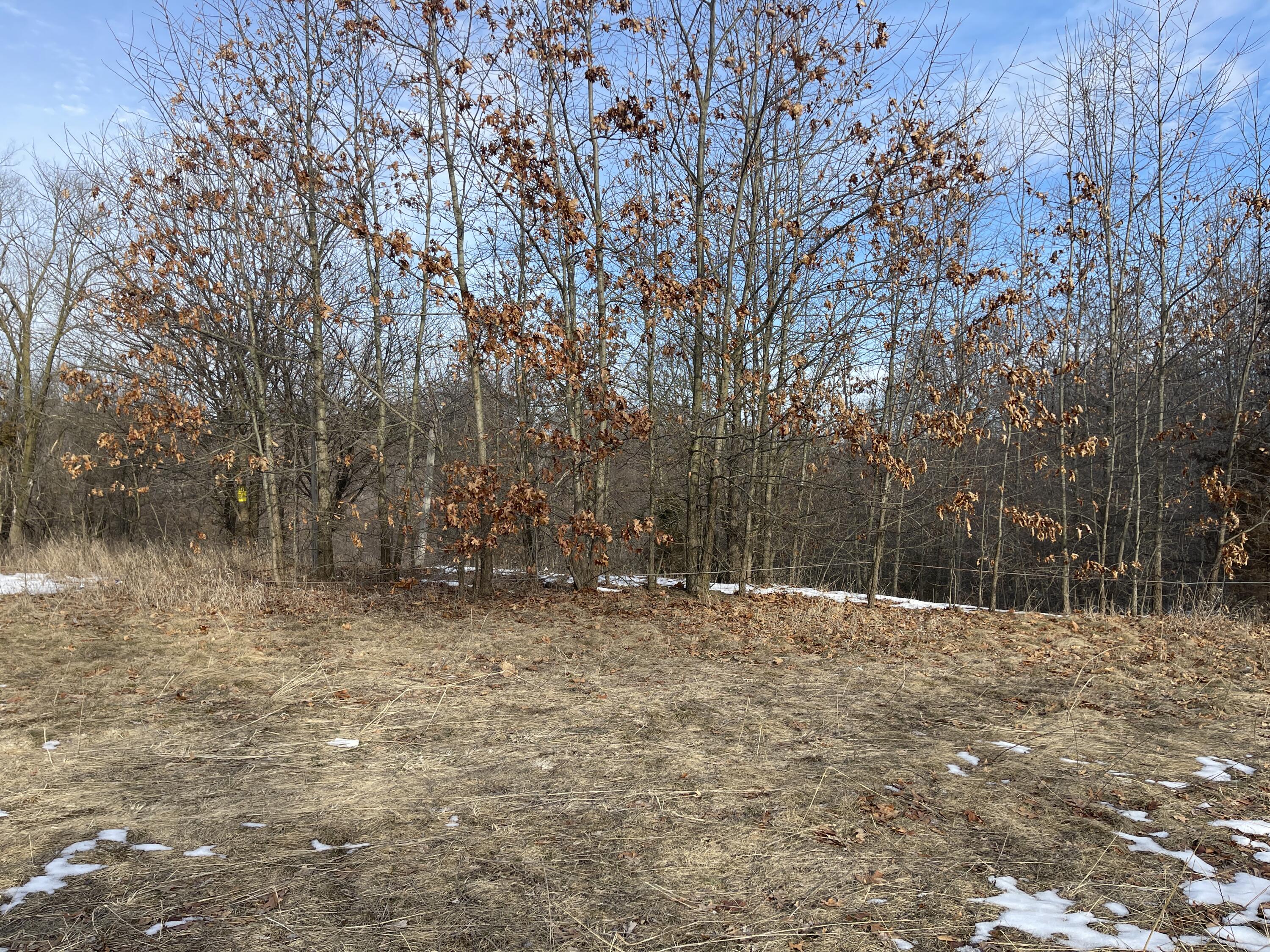 0 South Dettman Road Jackson, MI 49203 - Photo 4 of 6 VL Dettman 3