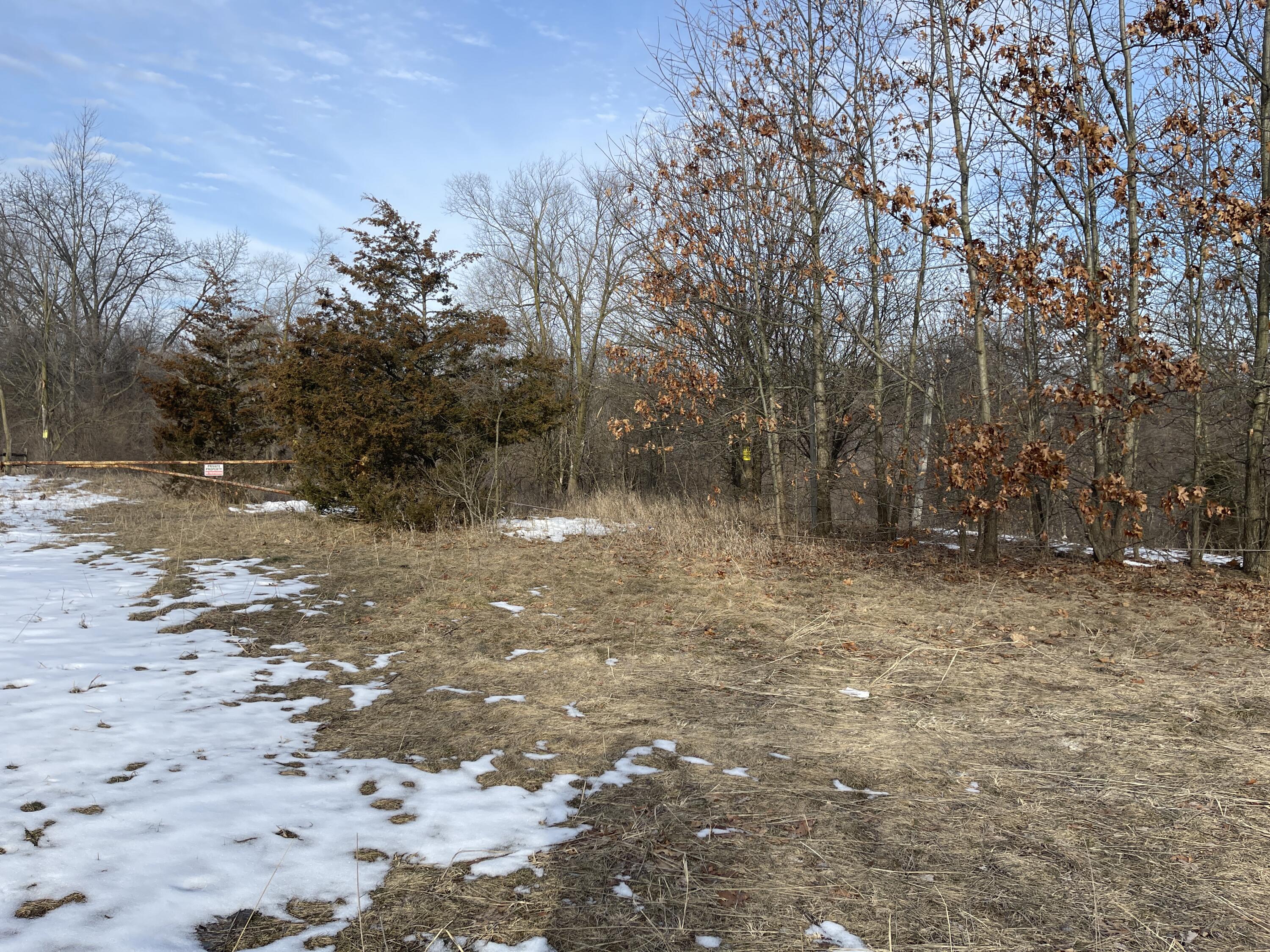0 South Dettman Road Jackson, MI 49203 - Photo 5 of 6 VL Dettman 4