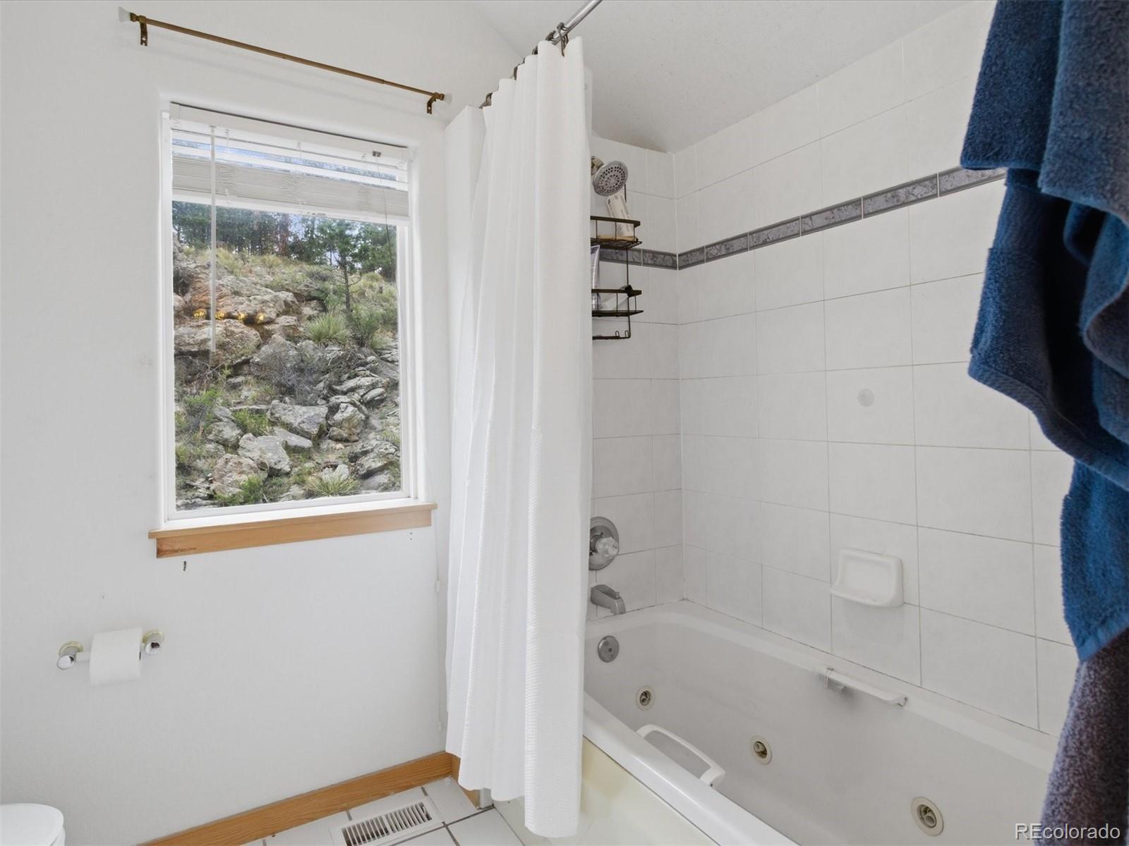 117 Spruce Trail Bailey, CO 80421 - Photo 20 of 47