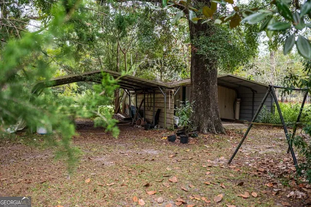 a view of a yard with plants and large trees