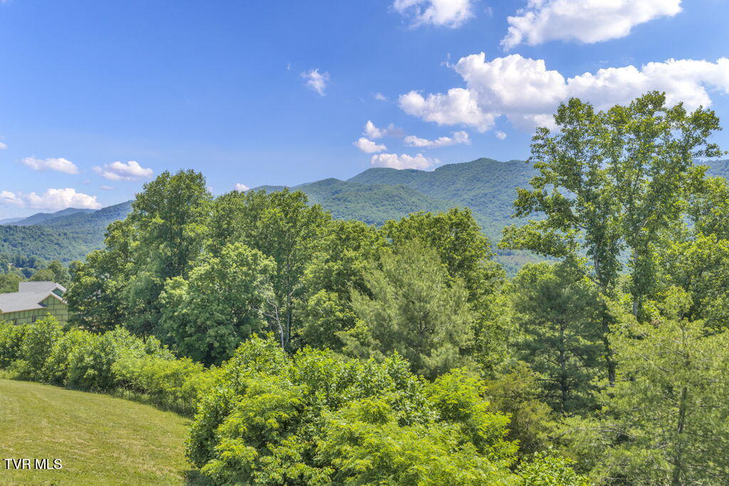 Lot 30 Eagle Rdg Parkway, Unit 30 Butler, TN 37640 - Photo 1 of 28 12-web-or-mls-DJI_20260605120354_0029_D