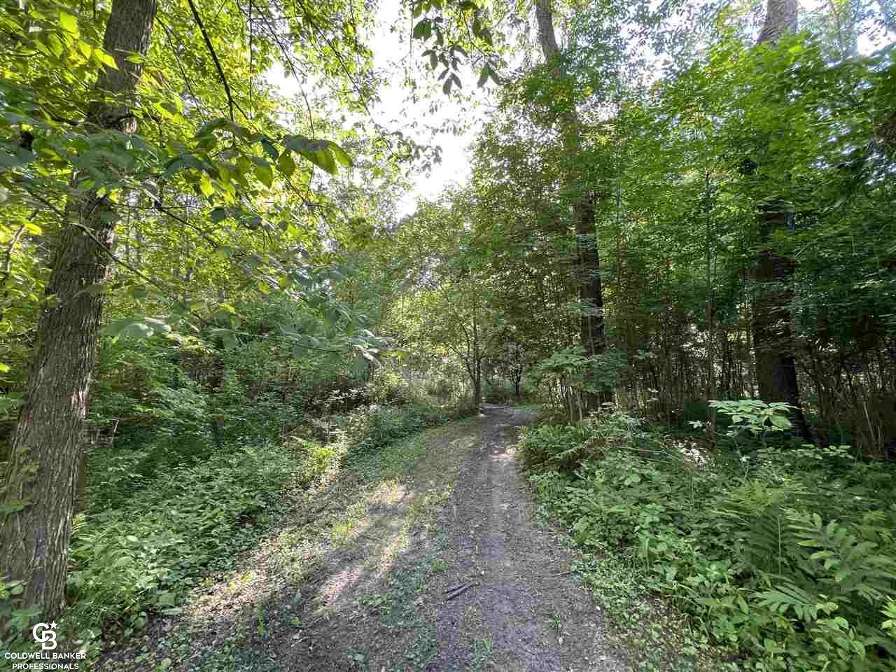 7658 Jordan Road Melvin, MI 48454 - Photo 9 of 82
