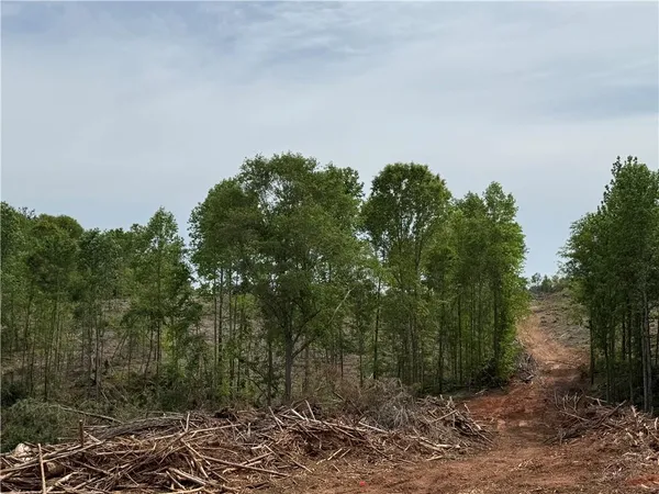 a backyard of a house with lots of trees