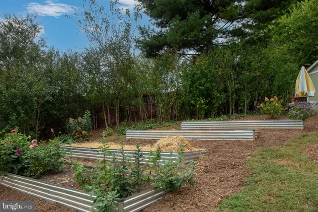 a view of swimming pool with a yard and trees